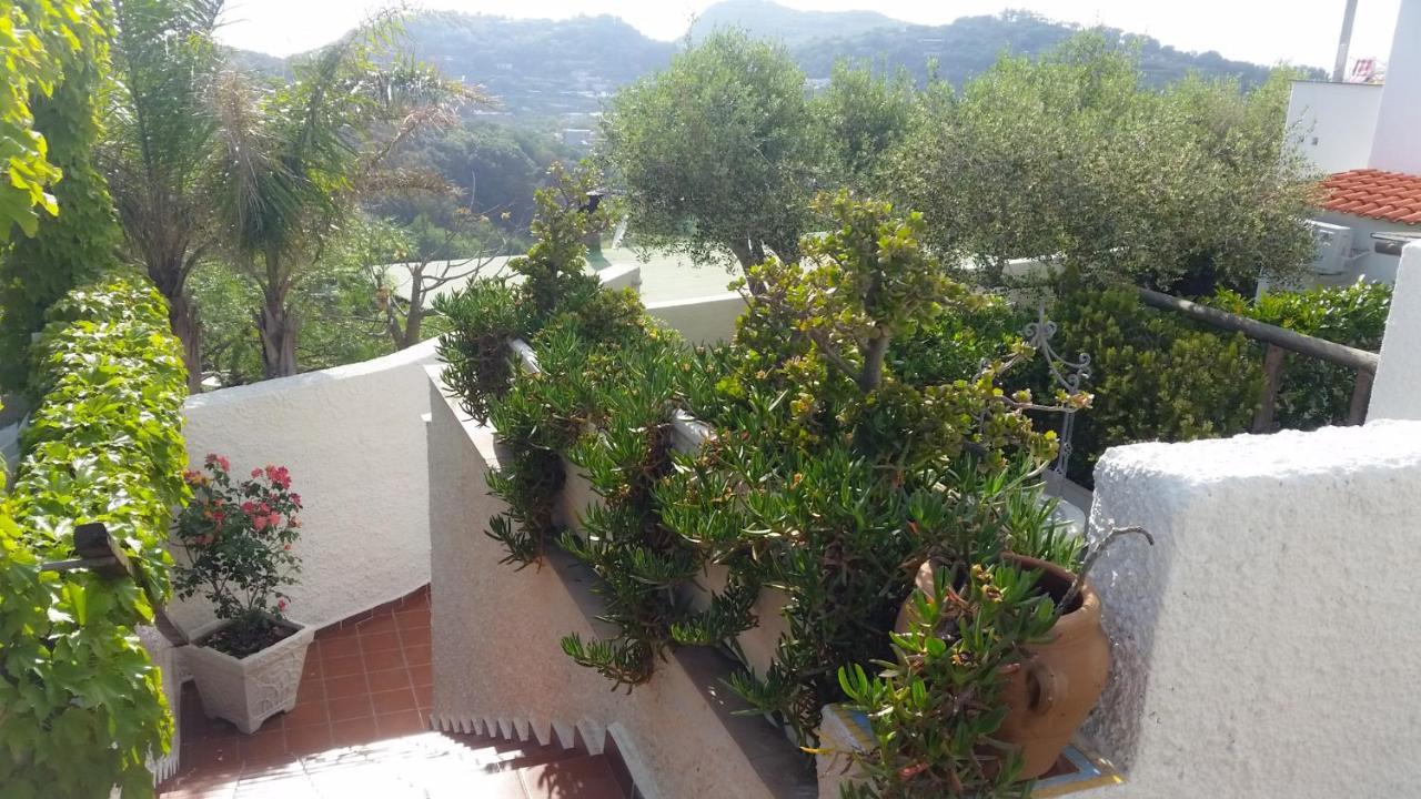 Appartamenti Luongo Forio di Ischia Exterior foto