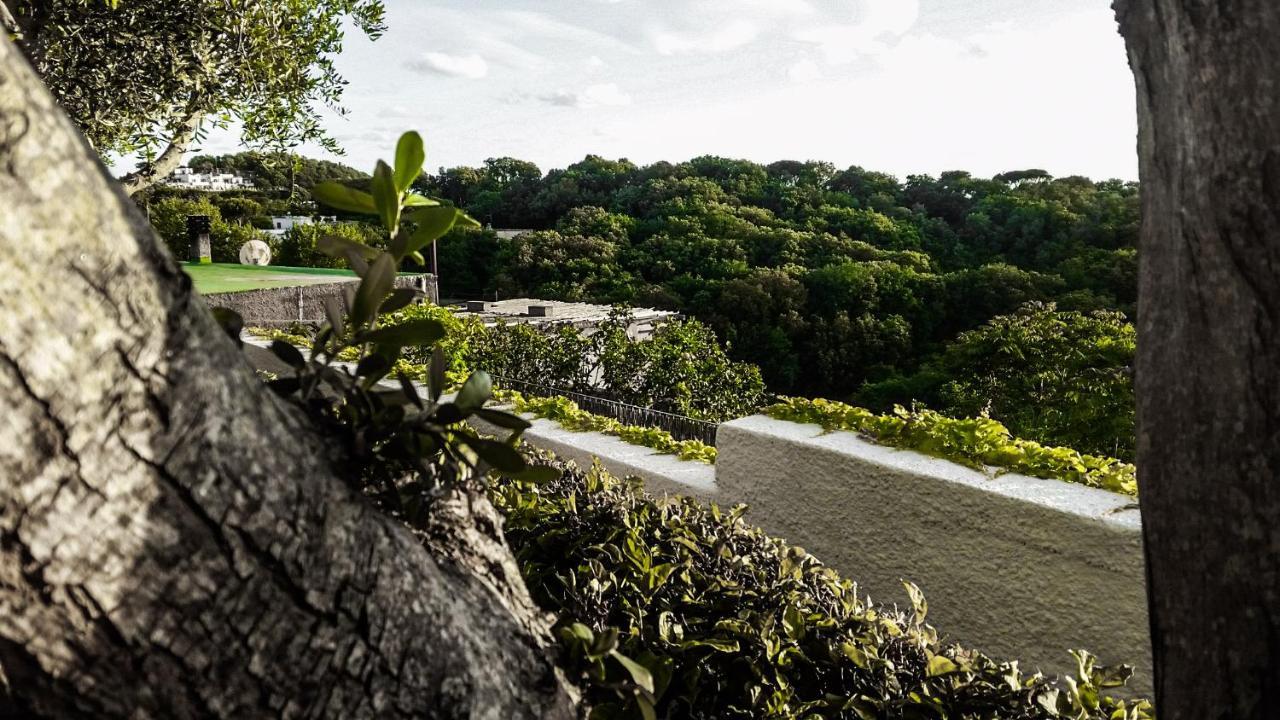 Appartamenti Luongo Forio di Ischia Exterior foto